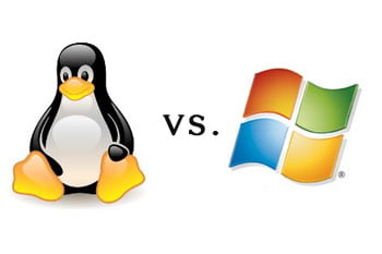 Linux or Windows Hosting: Which one is Best?