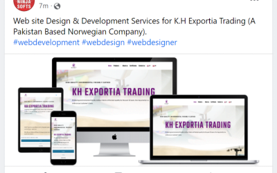 Website Design Services for a Norwegian Company