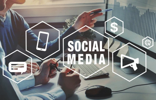 Search and digital marketing services by Ninja Softs